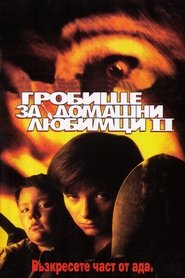 Гробище за домашни любимци 2 (1992)