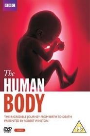 The Human Body poster