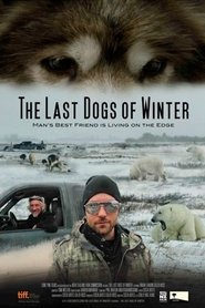 Poster The Last Dogs of Winter 2012