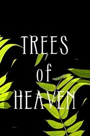 Poster Trees of Heaven 2020