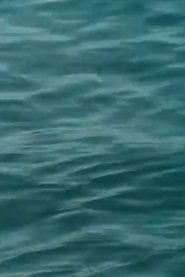 Waveforms