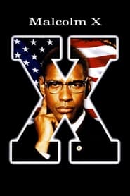 Malcolm X poster