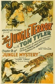 Poster Jungle Mystery
