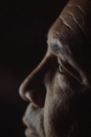 Escobars Erben – Die unsichtbaren Drogenbosse 2020