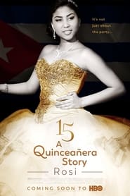 15: A Quinceañera Story постер