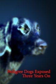 Pedigree Dogs Exposed: Three Years On Poster