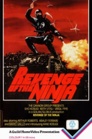 Revenge of the Ninja постер