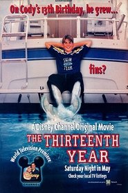 The Thirteenth Year постер