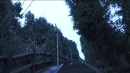 Episode 167