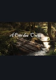 A côté des orties (1970)