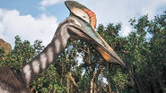 Andy and the Hatzegopteryx Display