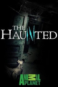 The Haunted постер
