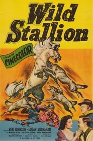 Un compagnon fidèle (1952) Un compagnon fidèle (1952)