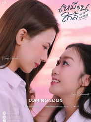 MongoDB.Entities.FuzzyString