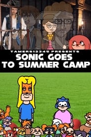 Poster Sonic Underground The Movie - Sonic Goes To Summer Camp