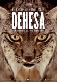 watch Dehesa, el bosque del lince ibérico now