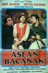 Aslan Bacanak 1977 映画 吹き替え