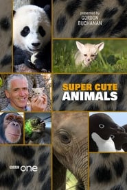 Super Cute Animals (2015)