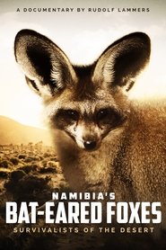 Namibia's Bat-eared Foxes