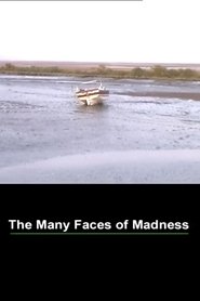 Poster The Many Faces of Madness 2000