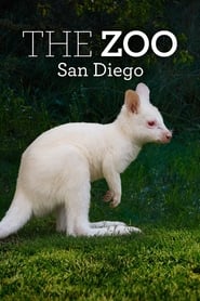 Зоопарк Сан-Дієго постер