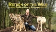 Return of the Wild: The Bearman of Buncrana en streaming