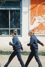 Poster for Contrary to Common Sense Poster for Contrary to Common Sense