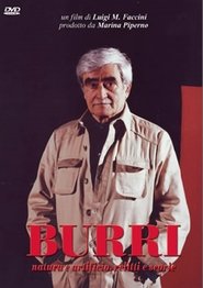 Poster Burri 2009