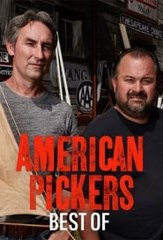 American Pickers: Best Of 5×2