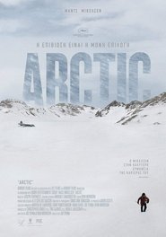 Arctic (2018)