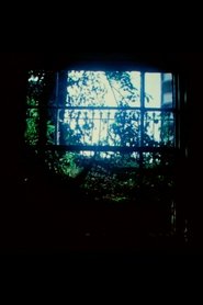 Poster Angles of Incidence 1973