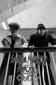 Samson McGillicuddy and the Maze that Makes You Crazy (2022)