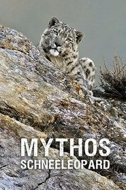 MongoDB.Entities.FuzzyString