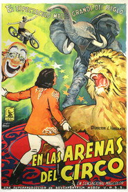 In the Circus Ring