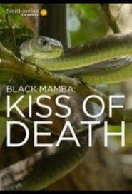 Poster Black Mamba: Kiss Of Death 2017