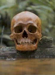 مشاهدة فيلم A Skull 2021 مترجم أون لاين بجودة عالية