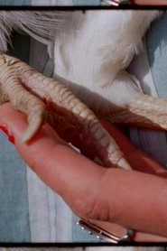 Haelgung - LeoniLeoni (1970)