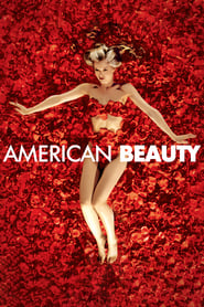 Краса по-американськи постер