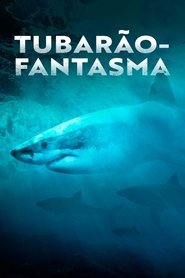 Pôster de Tubarão-Fantasma