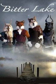 Poster Bitter Lake 2011
