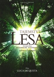 Tajemství lesa (2013)