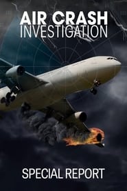 Full Cast of Air Crash Investigation: Special Report