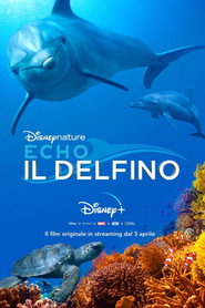 Echo - Il delfino