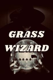 Grass Wizard