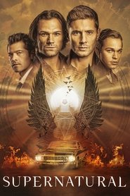 Poster Supernatural - Season 7 Episode 2 : Ciao mondo crudele 2020