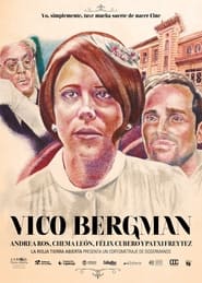 Poster Vico Bergman