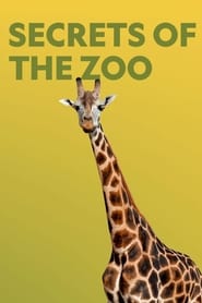 Secrets of the Zoo постер