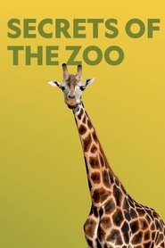 Poster Secrets of the Zoo 2022