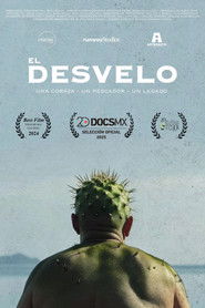 El desvelo