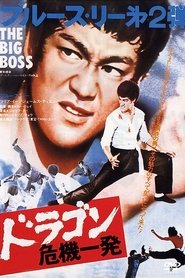 ドラゴン危機一発 1971 の映画をフル動画を無料で見る
